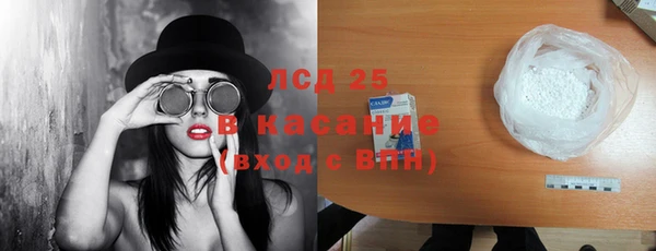 амф Козловка