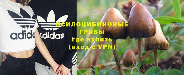 амф Козловка