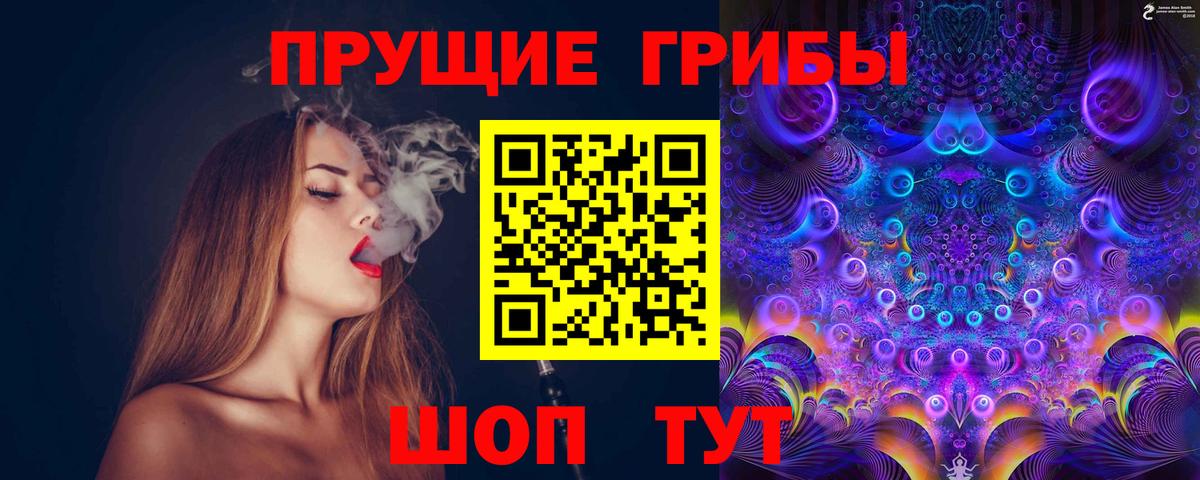 Галлюциногенные грибы Psilocybine cubensis Новомосковск