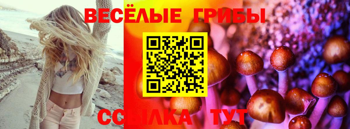 Псилоцибиновые грибы Magic Shrooms Новомосковск